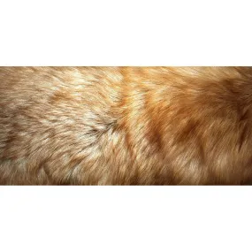 Fox fur collar