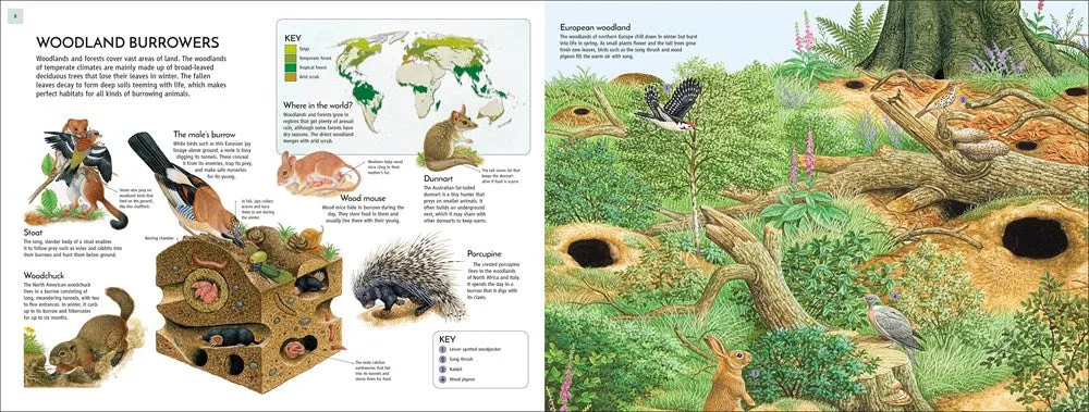 Life Underground: Tunnel into a World of Wildlife